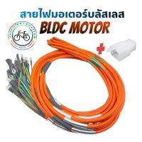 สายมอเตอร์บลัสเลส(BLDC)