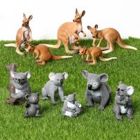 Koala Kangaroos Figure Collectible Figures for Collection Educational