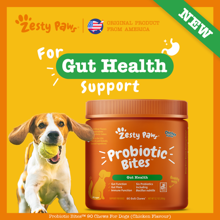 Zesty Paws Probiotic Bites for Dogs Gut Health [Chicken Flavor] (90