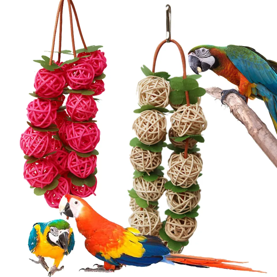 Interactive parrot outlet toys