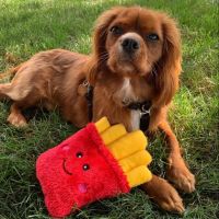 ZIPPYPAWS USA ของเล่นสุนัขพรีเมี่ยม รูปเฟรนช์ฟราย บีบแล้วมีเสียง ของเล่นหมา ของเล่นสุนัขนำเข้า