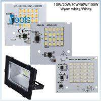 TOOLS 421STORE 1Pc ขาว/วอร์มไวท์ อินพุต 220V พลังสูง โคมไฟฟลัดไลท์ สมาร์ทไอซี SMD2835 ลูกปัดชิป LED ไฟคนขับ