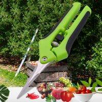 [AMO Garden Decoration]กรรไกร Pruner Secateurs กรรไกรตัดแต่งกิ่งบายพาสเหลากรรไกรเครื่องมือสวนบอนไซดอกไม้ปลูกฝังแข็ง Snip ดอกไม้มินิ