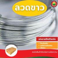 ลวดสังกะสี ลวดขาว No.18 Galvanized Wire ลวดสังกะสี ลวดชุป ลวดขด ลวดอลูมิเนียม ลวดเติม ลวดป้อน ลวดป่อน ลวดม้วน ลวดสปริง สแตนเลส ดัดบอนไซ มิตสห Mitsaha