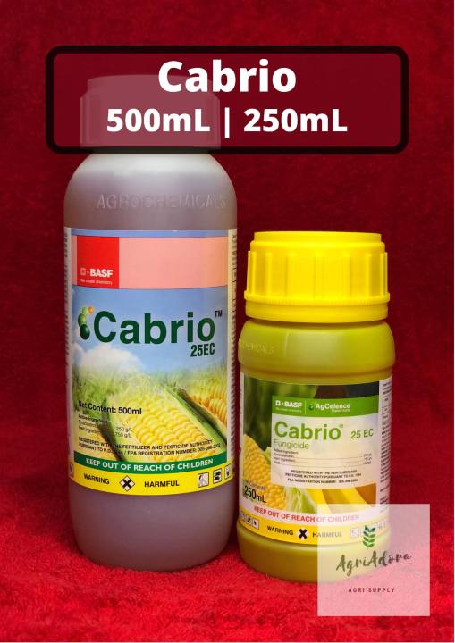 Cabrio 25EC Fungicide 500mL/250mL (BASF) | Lazada PH