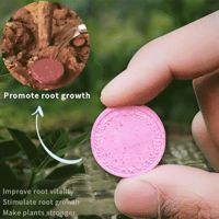 Home Gardening Universal Slow-Release Tablet Organic-Fertilizer Indoor Flower Plant Concentrated Fertilizers For Succulent