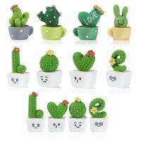 Cactus Flower Pot Succulent Plants Natural Mineral Turtle Mini Fairy Garden Kiniature Ornament Accessories Car Decor