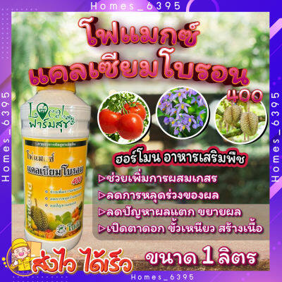 โฟแมกซ์ แคลเซียมโบรอน 400 🍂 (Phomax CaB 400) ขนาด 1ลิตร เพิ่มการผสมเกสร ลดการหลุดร่วงของผล ธาตุอาหารพืชสูตรเข้มข้น ดูดซึมเข้าสู่พืชรวดเร็ว homes