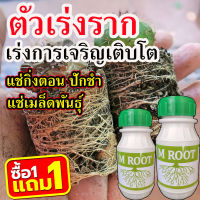 ?ซื้อ1แถม1 ? ปุ๋ยระเบิดราก เร่งอัตราการเจริญเติบโตของผัก น้ำยาเร่งราก ระเบิดราก ตอนกิ่ง 250 cc หยั่งราก + คุ้มครองราก + รักษาราก น้ำยาเร่งราก  เร่งราก ปุ๋ยเร่งราก สารเร่งราก ยาเร่งราก ตัวเร่งราก