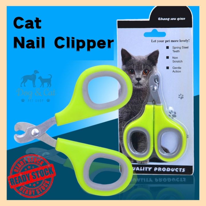 Kitten on sale nail cutter