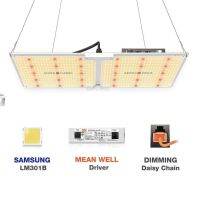 [ready stock]Spider Farmer SF2000 LED Grow Light ไฟปลูกต้นไม้ ของเท้รับประกัน3ปีมีบริการเก็บเงินปลายทาง