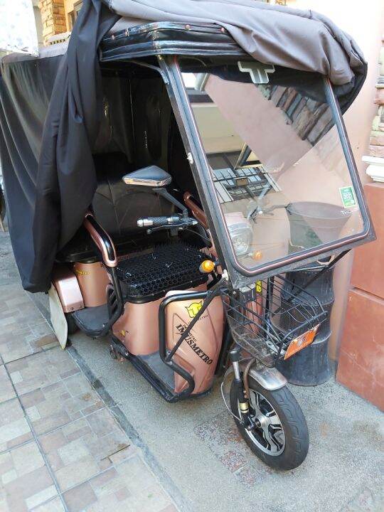 ebike 3 wheels nwow