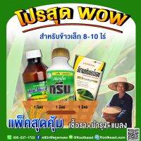 ชุดกำจัดหนอน เชื้อราและบำรุงข้าวเล็ก 8-10 ไร่ ป้องกันและกำจัดหนอน  เพลี้ยไฟ แตกกอดี โรคใบไหม้ โรคเมล็ดด่าง บำรุงต้นเขียวแข็งแรงคูลเกษตร