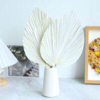 【CW】White Fan Leaf Palm Leaf Sunflower Fan Leaf Wind Dry Real Floral Floral Table Top Living Room Home Decoration Ornaments