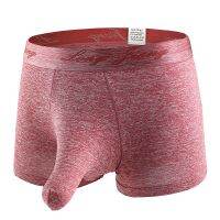 【hot】▲ Fashion Men U Convex Penis Boxers Man Elephant Jockstrap Gay Male Sheer Shorts Panties