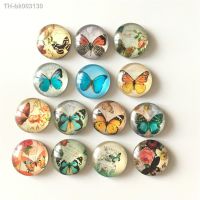 ✗✽ Free shipping (14pcs/lot)Various Butterfly Crystal Glass fridge magnet Cartoon animal message sticker Kitchen home Decor