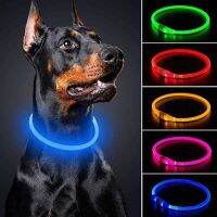 Usb Dog Collar Led Night Glowing Battery Loss Prevention Accessories Supplies Articles Pets