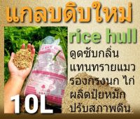 แกลบดิบ(rice hull) แกลบสะอาด ปลอดเชื้อรา/แมลง (my media)