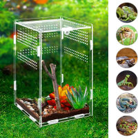 Habitat Arboreal โปร่งใส Dragon Bearded Tarantula Breeding Enclosure สัตว์เลื้อยคลานสัตว์เลื้อยคลาน Terrarium อะคริลิคกล่อง Nano Cage