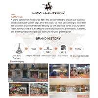 利David jones paris กระเป๋าสะพายข้าง ทรงถัง ใส่โทรศัพท์ได้ แฟชั่นวินเทจ สำหรับผู้หญิง