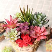 Mini Artificial Succulent Plants Green Various Plastic Plants Home Garden Ornament Decoration Fake Plants plante artificielle Electrical Connectors