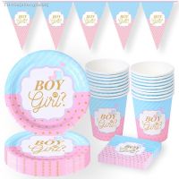 ✻ Blue Pink Boy Or Girl Gender Reveal Party Disposable Cutlery Set Paper Plate Mug Banner Gender Balloon Decoration Baby Shower