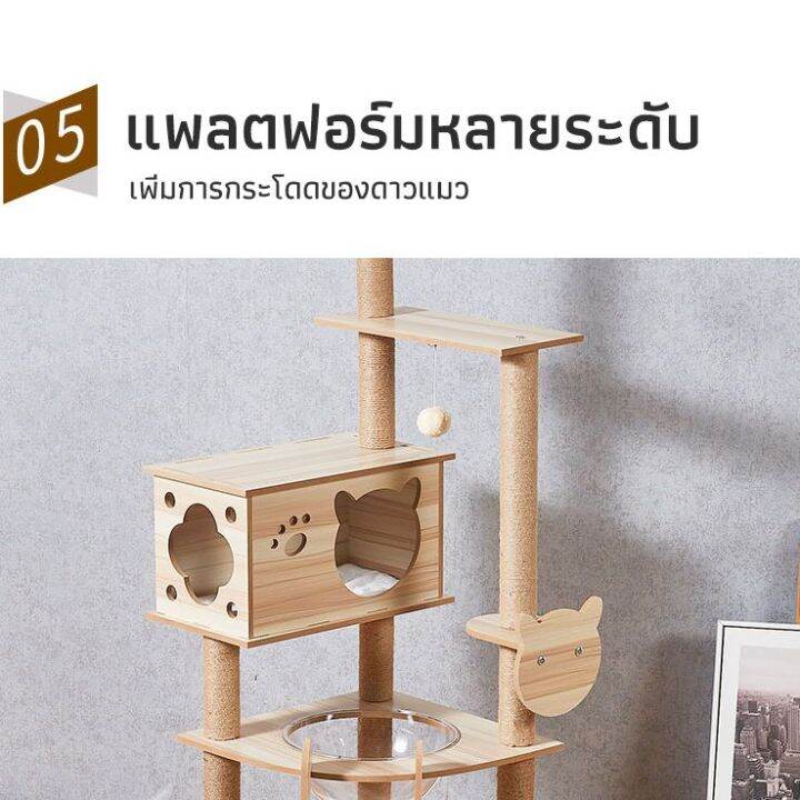 p-p-คอนโดแมว-คอนโดแมวลดราคา-คอนโดแมวถูกๆ-คอนโดแมวใหญ่-คอนโดแมวมีหลุม-คอนโดแมวไม้-คอนโดแมวอวกาศ-คอนโดแมวหลุมใส-คอนโดแมวแบบไม้