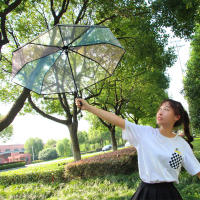 Automatic Transparent Umbrella Korean Small Fresh Folding Three-fold Long Handle Umbrella Rainbow Umbrella