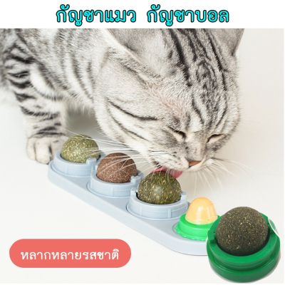 แคทนิปบอล Catnip Ball กัญชาแมว ขนมแมว ของเล่นแมวเลีย แปะกำแพง ball herb  พร้อมส่ง