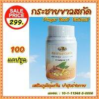 กระชายขาวสกัด 100 แคปซูล สารสกัดกระชายขาว เสริมภูมิคุ้มกัน บำรุงร่างกาย  316 มก./1 แคปซูล Finger Root Extract  Boost immunity, nourish the body, 100 capsules