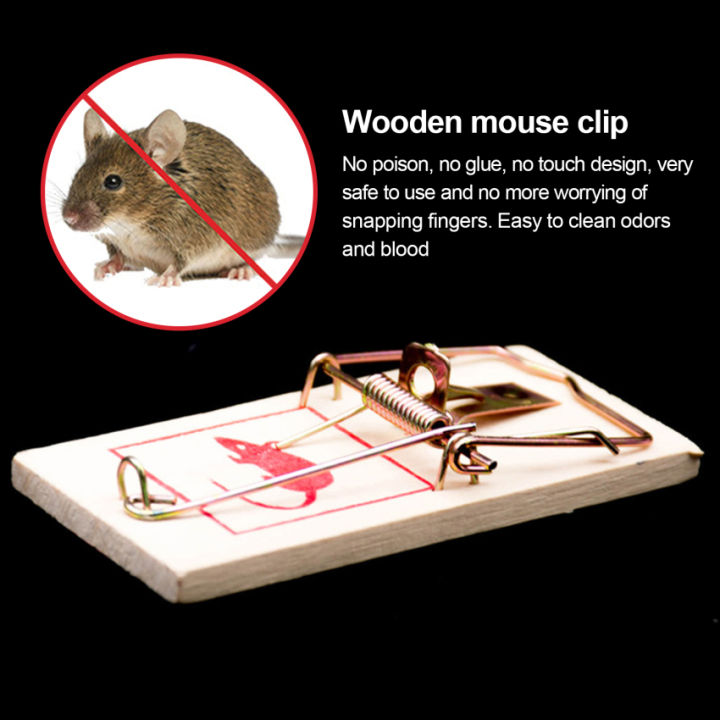 Mouse Traps, Mice Traps for House, Best Mouse Traps for Home, Small Mice  Trap Indoor Quick Effective Sanitary Safe Mousetrap Catcher for Family and