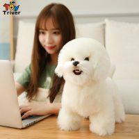 Kawaii Maltese ผ้านวม Bichon ลูกสุนัขสุนัขของเล่นกำมะหยี่ยัดไส้สัตว์ตุ๊กตาเด็กทารกเด็กเด็กวันเกิดของขวัญห้องการตกแต่งบ้าน