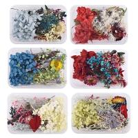 【cw】1 Mix Dried Flower Dry Plants For Aromatpy Candle Epoxy Resin Pendant Necklace Jewelry Making Craft DIY Accessories