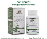 อภัย แอนโดร ยาแคปซูลสารสกัดฟ้าทะลายโจร Abhai Andro Andrographis Extract Capsule บรรจุ 30 s