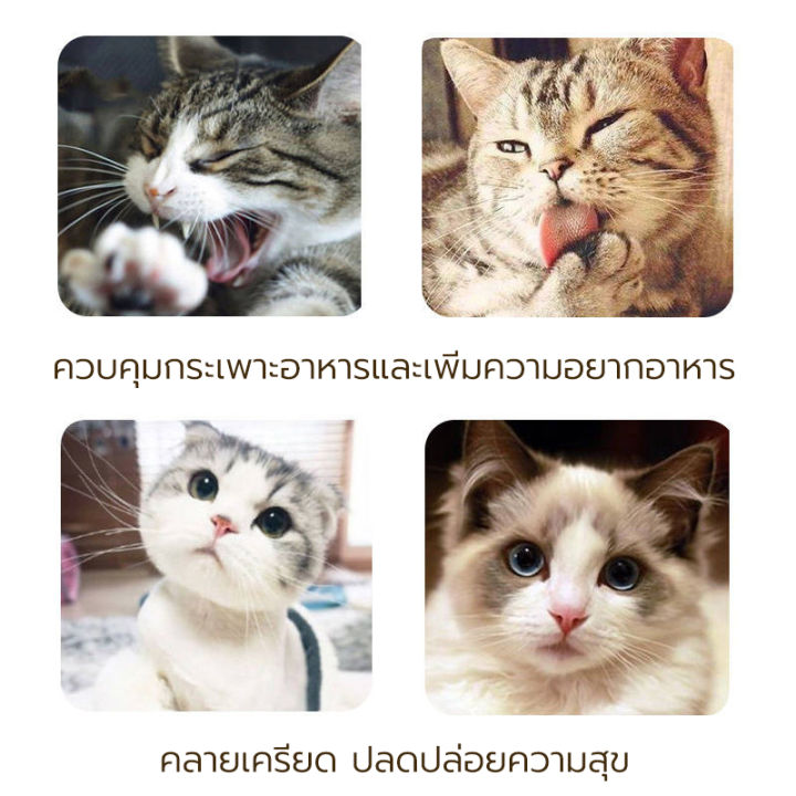 กัญชาแมว-แคทนิป-catnip-หลอดทดลอง-แคทนิป-catnip-สมุนไพรออร์แกนิคสำหรับแมวแบบหลอด-45ml