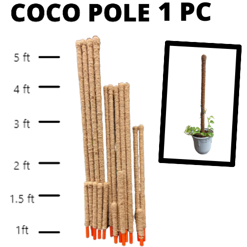 AFFORDABLE 5 FEET BEST FOR Plant Support Totem Pole Coconut Sticks