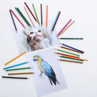 （Ready Stock in Malaysia） Brutfuner Oil Colour Pencils Set for Coloring Books Artist Drawing Sketching Crafting for BeginnersArtist