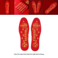 【CW】 Shui Coins Insoles