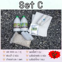 [พร้อมส่ง]!!!ลดชุดทดลองปลูก SET C  (ธาตุอาหารสารละลาย AB)[สินค้าใหม่]