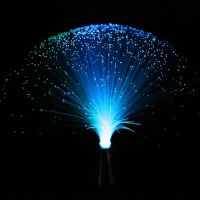 Multicolor LED Fiber Optic Lamp Light Interior Decoration Centerpiece Holiday Wedding Lamp LED Night Light Lamp