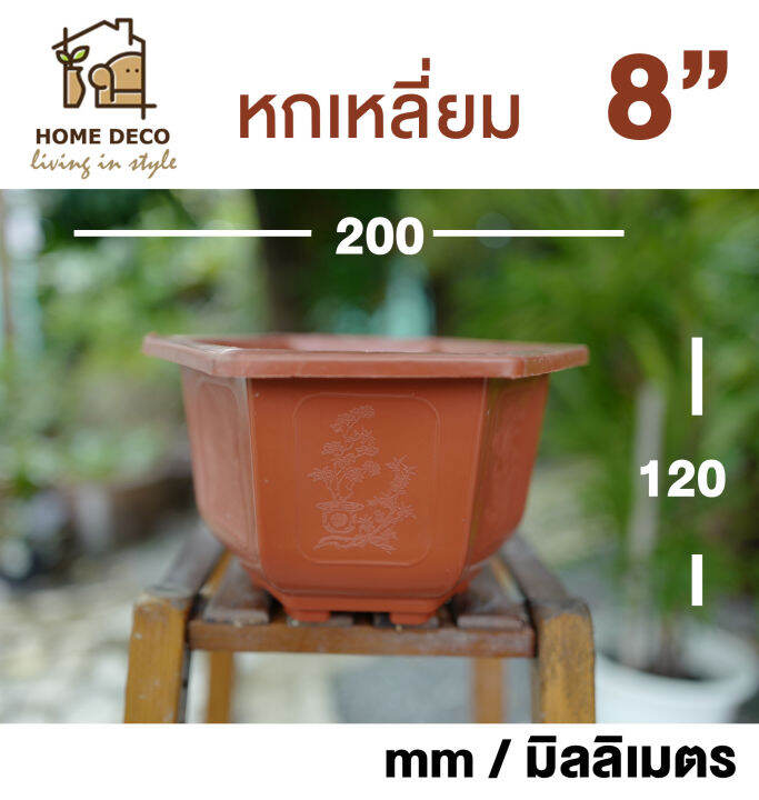 กระถางบอนไซ-หกเหลี่ยม-กระถางต้นไม้พลาสติก-กระถางสไตล์จีน-hexagon-plant-pot-bonsai-hexagon-pot