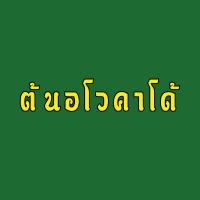 Woww สุดคุ้ม ต้น อโวคาโดเสียบยอด จำนวน 4 ต้น (ต้นละ 130 ) พันธุ์แฮส,พิงค์เคอร์ตัน,บัคคาเนีย,บูท 7,ปีเตอร์สัน,เฟอร์เต้ ราคาโปร พรรณ ไม้ น้ำ พรรณ ไม้ ทุก ชนิด พรรณ ไม้ น้ำ สวยงาม พรรณ ไม้ มงคล