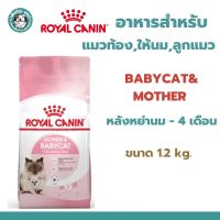 Royal Canin Starter Mother &amp; Baby Cat 1.2 kg. อาหารแม่แมวตั้งท้อง-ให้นม และ ลูกแมวอายุต่ำกว่า 4 เดือน ขนาด 1.2 กิโลกรัม