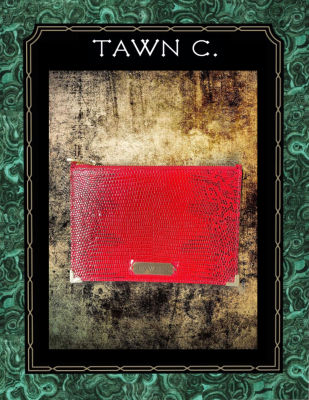 TAWN C. Exotic Skin Accessory &amp; Stationary Collection - Lizard Skin, Large Envelop Pouch in Chilli Red