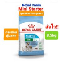 Royal Canin mini Starter 8.5kg โรยัลคานิน แม่สุนัข สุนัขท้อง ลูกสุนัข พันธุ์เล็ก กระสอบ 8.5 กิโลกรัม