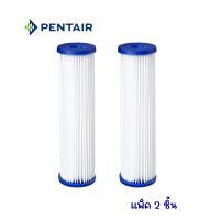 PENTAIR รุ่น R30-20BB CART PACK 2 PCS : ไส้กรองน้ำใช้ (ขนาด 20 นิ้ว) แพ็ค 2 ชิ้น