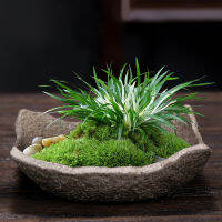 เลียนแบบหินเซรามิคหม้อสแควร์กระถางดอกไม้พืช Hydroponic Moss Ball Potted Succulent เดสก์ท็อปโต๊ะกาแฟ Bonsai Pots