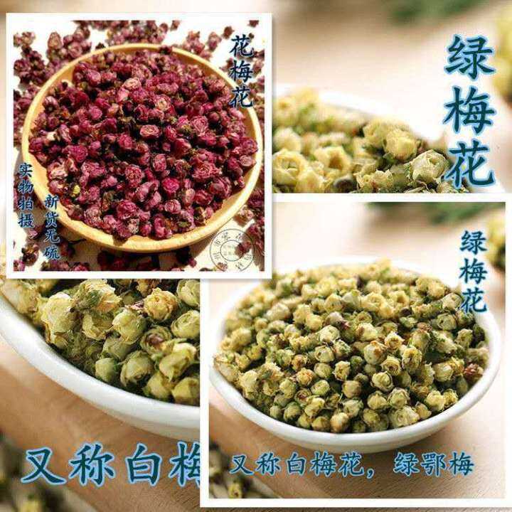 beng Shop New Arrival White Plum Blossom Green Plum Blossom Green Calyx