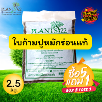 ใบก้ามปู หมัก ร่อน แท้ 100%  2.5 กิโลกรัม ซื้อ 5 แถม 1 ไม่ผสมดิน พร้อมปลูก เหมาะกับ บอนสี ไม้ด่าง ไม้ดอก ไม้ใบ ไม้ฟอกอากาศทุกชนิด แคคตัส