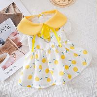 Breathable Summer Dresses for Small Dogs Cartoon Lemon Print Cat Clothing Bow Tie Modern Cotton Female Skirt Puppy Pet Clothes Dresses